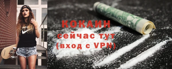 молекула духа Лабытнанги
