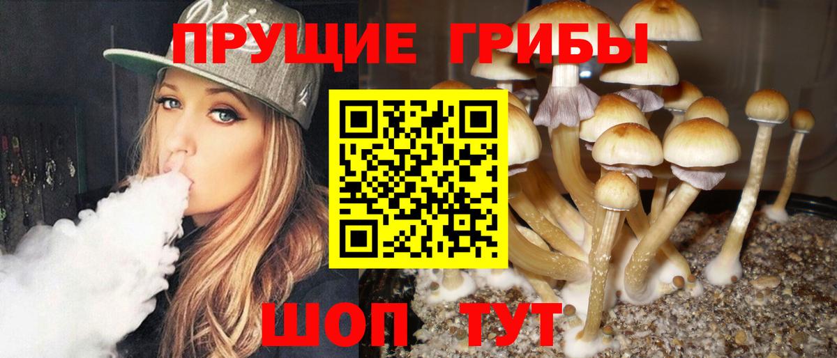 Псилоцибиновые грибы GOLDEN TEACHER Севастополь